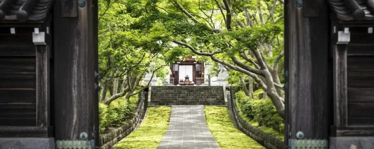 天嶽院について