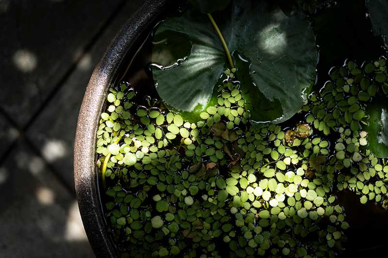 9月の年間行事・法要の様子